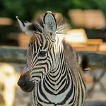 아파트 Tierpark Entdeckerhaeuser 바겐펠드