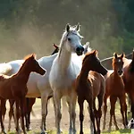 Tierpark Entdeckerhaeuser 아파트 바겐펠드