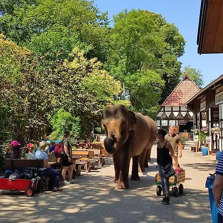 Tierpark Entdeckerhaeuser Wagenfeld