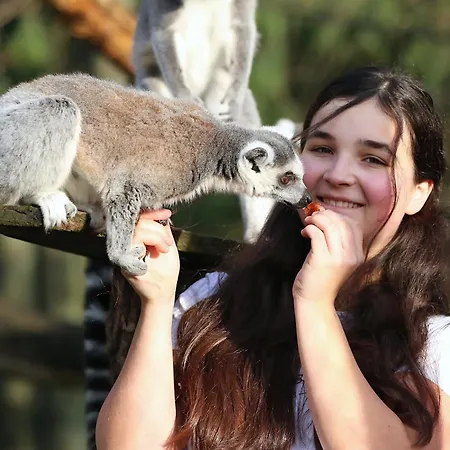 アパート Tierpark Entdeckerhaeuser