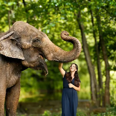 Tierpark Entdeckerhaeuser *