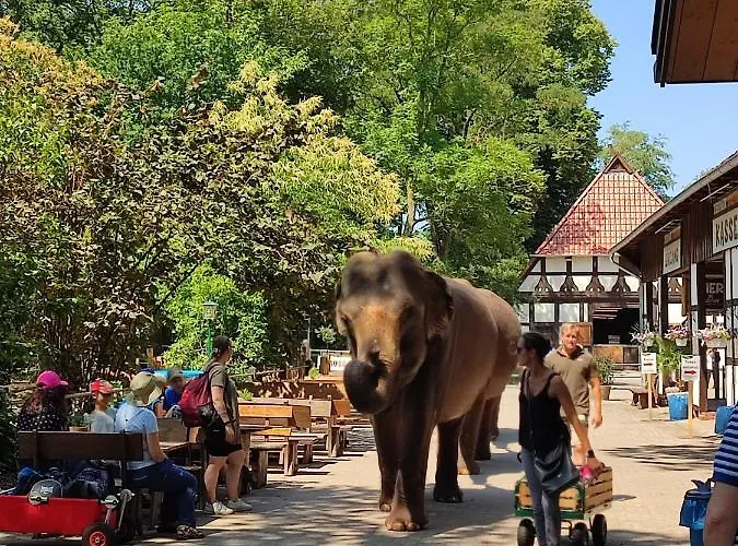 Tierpark Entdeckerhaeuser Wagenfeld