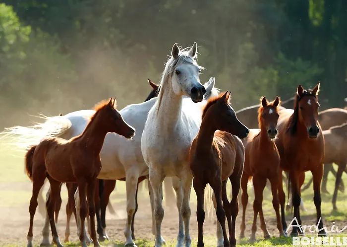 Tierpark Entdeckerhaeuser Apartament Wagenfeld