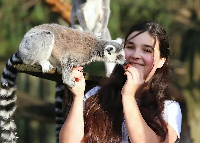 Apartament Tierpark Entdeckerhaeuser