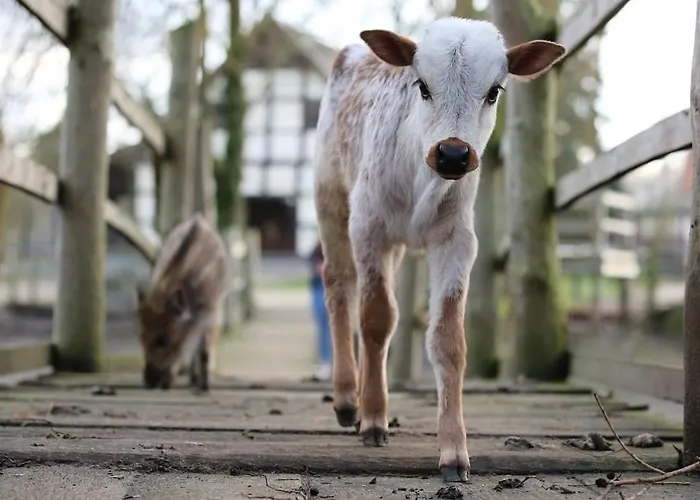 Apartament Tierpark Entdeckerhaeuser Wagenfeld