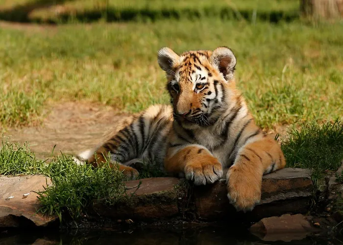 Tierpark Entdeckerhaeuser Apartament