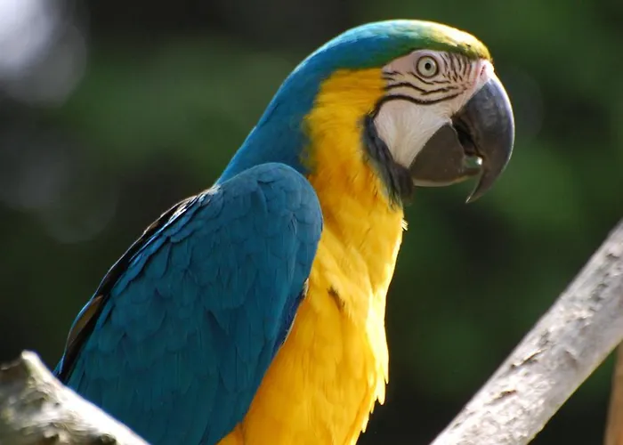 Tierpark Entdeckerhaeuser Apartament