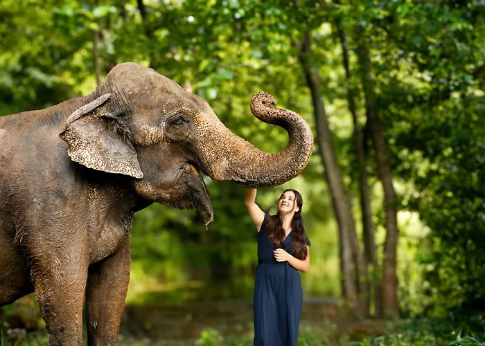 Tierpark Entdeckerhaeuser *